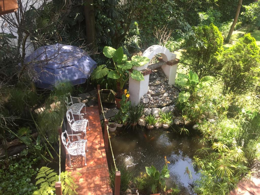 un jardín con un estanque y una fuente de agua en Villas Sol y Luna Coyoacan, en Ciudad de México