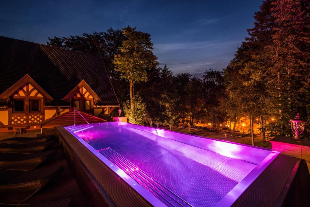 Bazén v ubytování Pałac Margot Nature&SPA nebo v jeho okolí