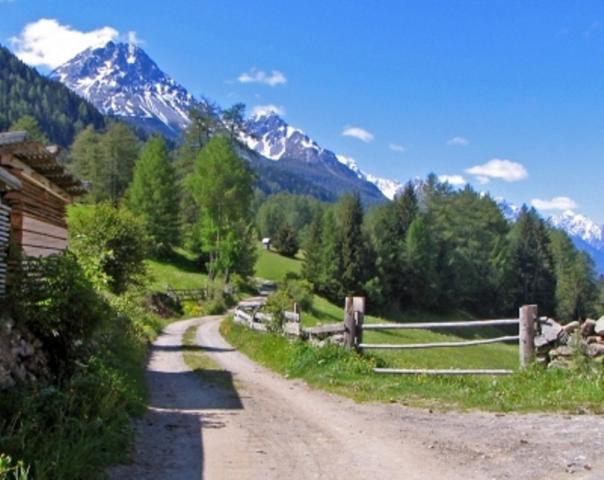 Príroda v okolí apartmánu