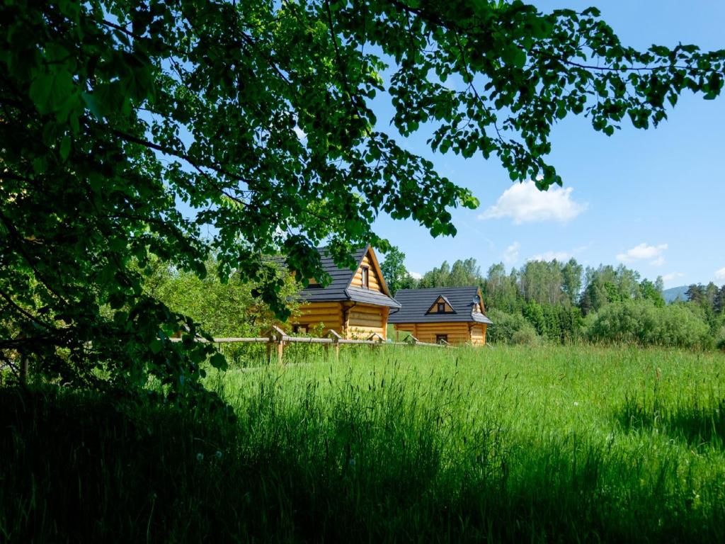a wooden house in a field of tall green grass at Chatki Góralskie in Rabka-Zdrój