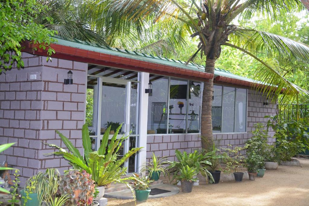 Zahrada ubytování Livinginn Polonnaruwa