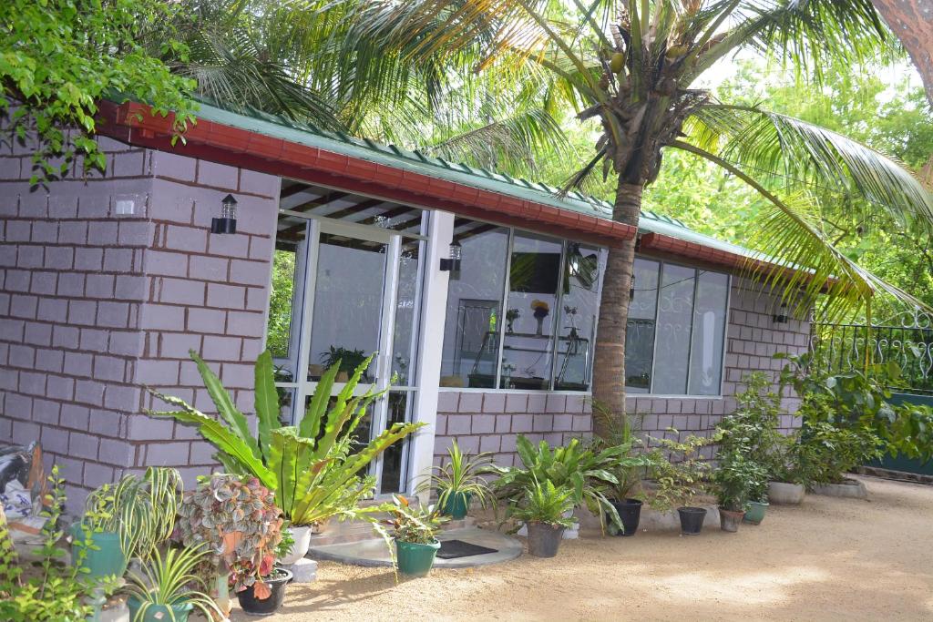 Zahrada ubytování Livinginn Polonnaruwa