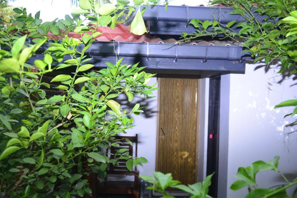 Zahrada ubytování Livinginn Polonnaruwa