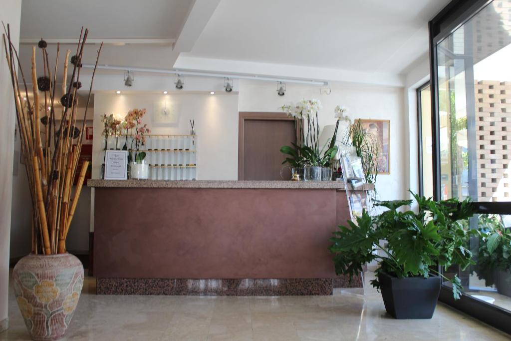 Vstupní hala nebo recepce v ubytování Hotel Adler
