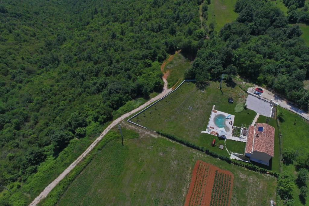 Príroda v okolí vily