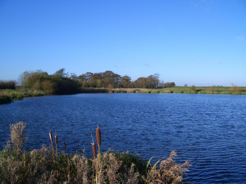 ハルにあるBarmston Farmの背景の大水