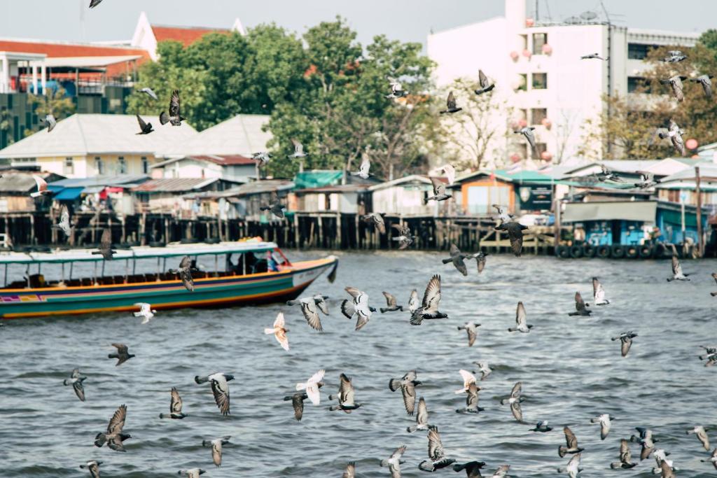 Theatre Residence - Resim 20