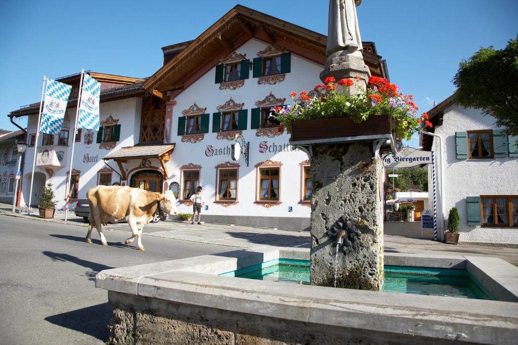 a cow walking down a street in front of a building at Hotel Schatten in Garmisch-Partenkirchen