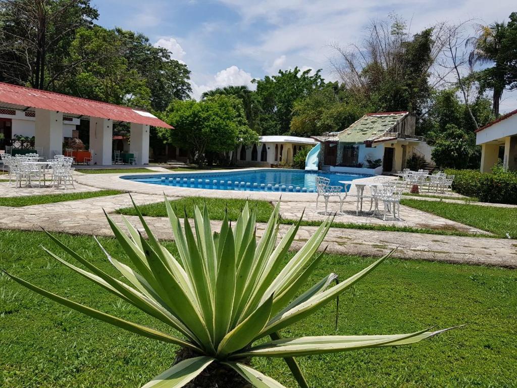 a plant in the grass next to a swimming pool at Hotel Villas Kin Ha in Palenque