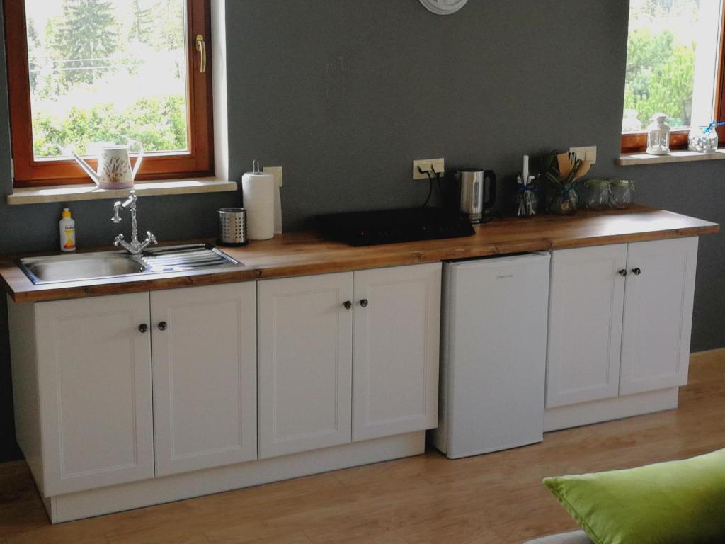 Kuchyňa alebo kuchynka v ubytovaní Apartamenty w Gorach Stolowych