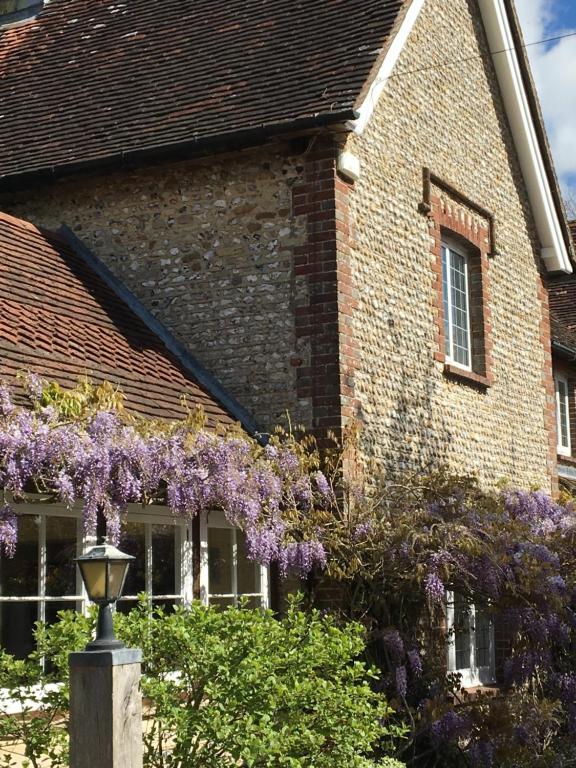 a house with purple wisteria on the side of it at Richmond Cottage in Chichester