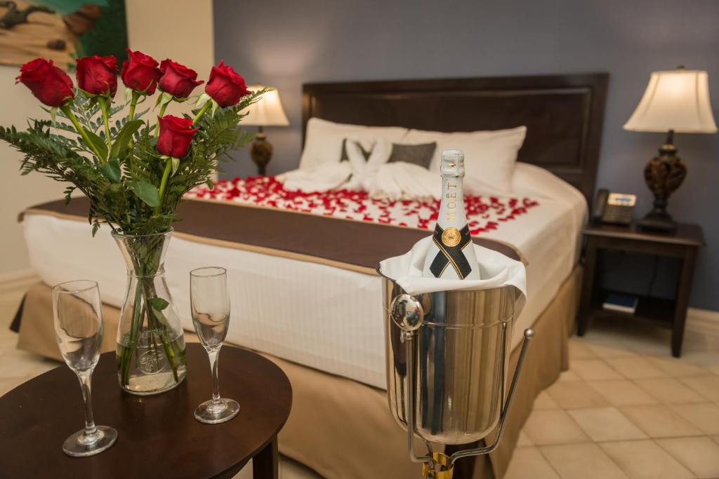 拉斯塔布拉斯的住宿－Hotel Presidente Las Tablas，一间卧室配有一张玫瑰床和搅拌机