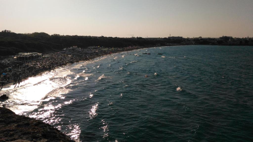 Táj Show holiday homes közelében