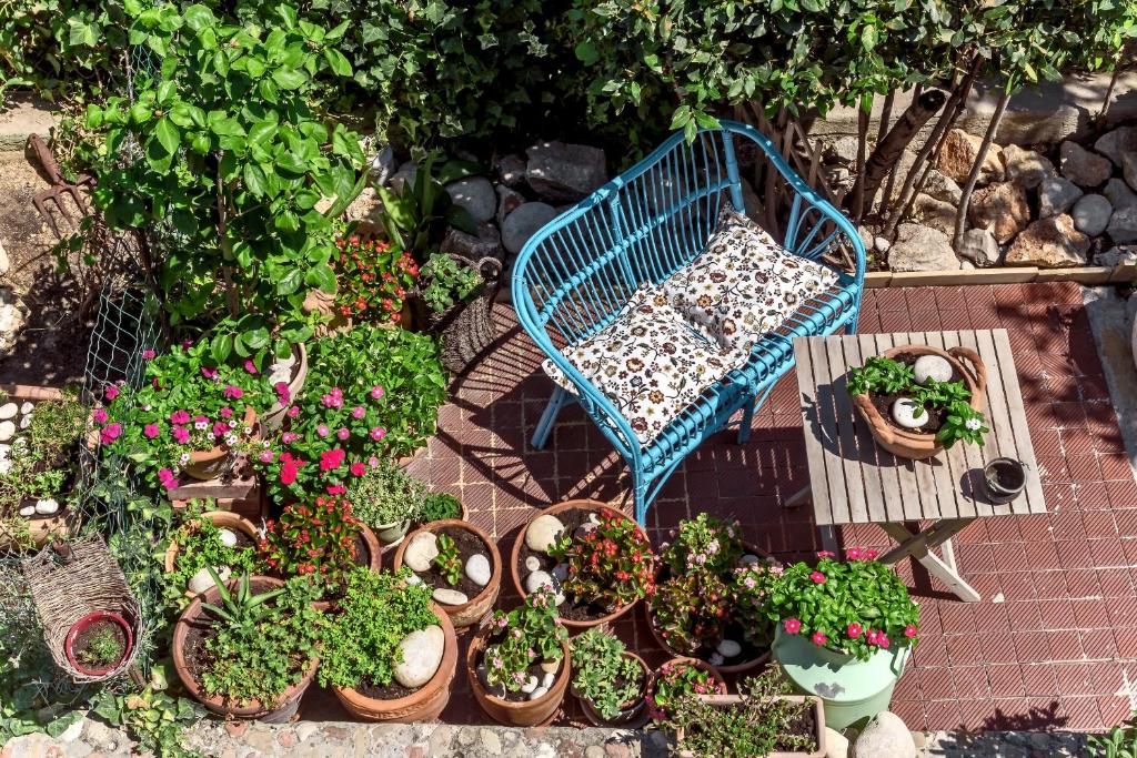 Сад в Beachfront Apartment Mala Tereza