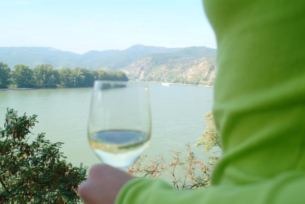a person holding a glass of wine in front of a river at Hotel Schloss Dürnstein in Dürnstein