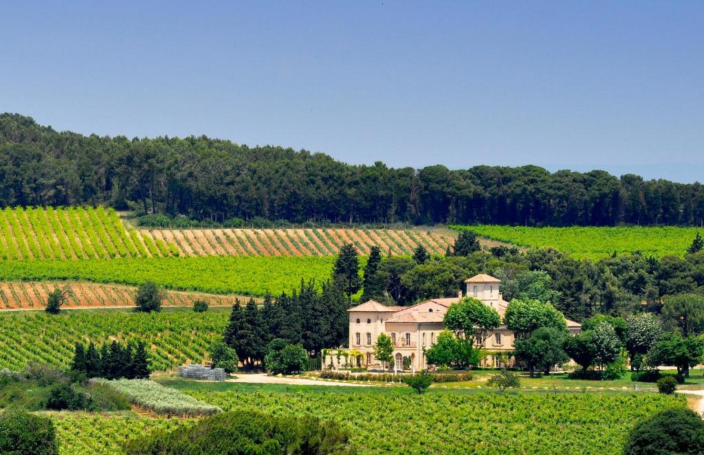 a house in the middle of a field of grapes at Chambre d'hôtes Château Gigognan in Sorgues