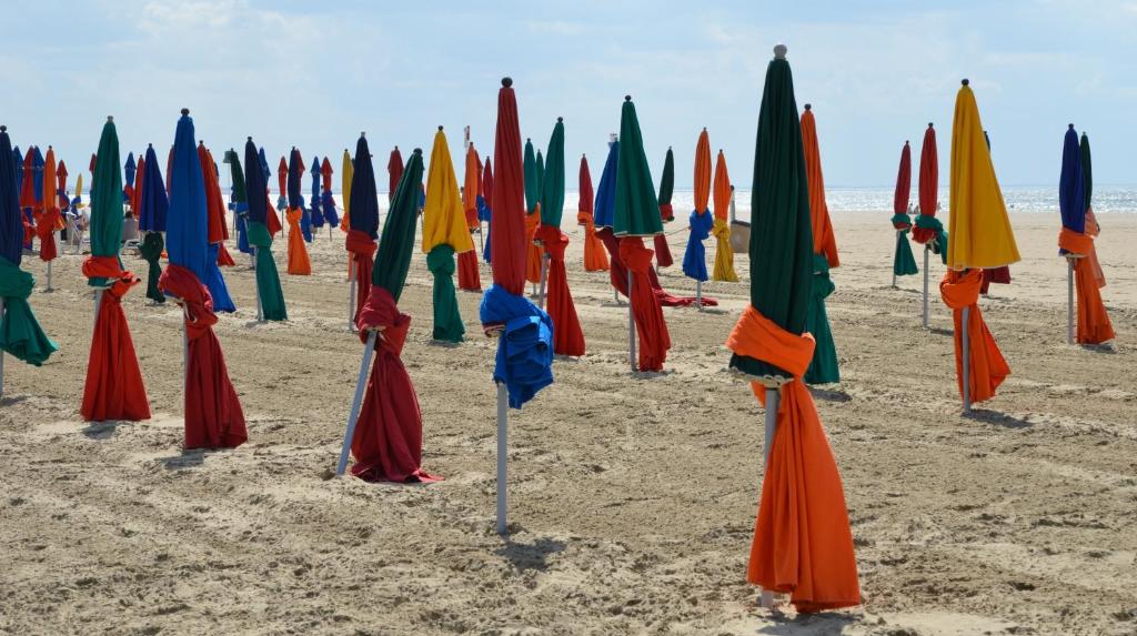 Φυσικό τοπίο κοντά σε αυτό το ξενοδοχείο