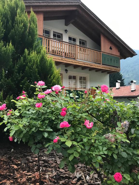 Vonkajšia záhrada v ubytovaní La Casa Verde