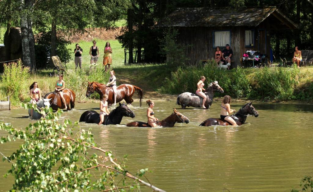 a group of people riding horses in the water at Reiterhof Stöglehner in Rainbach im Mühlkreis