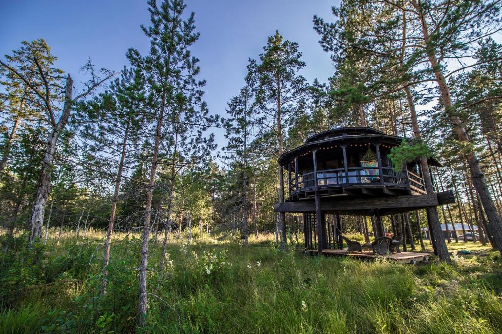 una casa en el árbol en medio de un bosque en Sambliku Treehouse en Jõgisoo