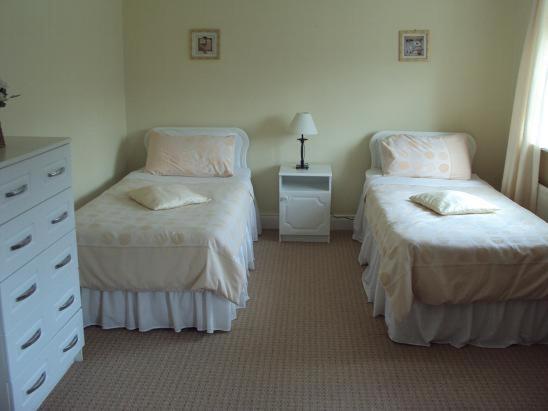 - une chambre avec 2 lits jumeaux et une commode dans l'établissement Ryebrook House, à Killarney