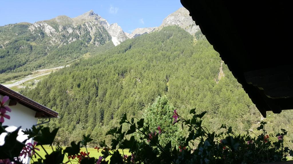 Táj az apartman közelében