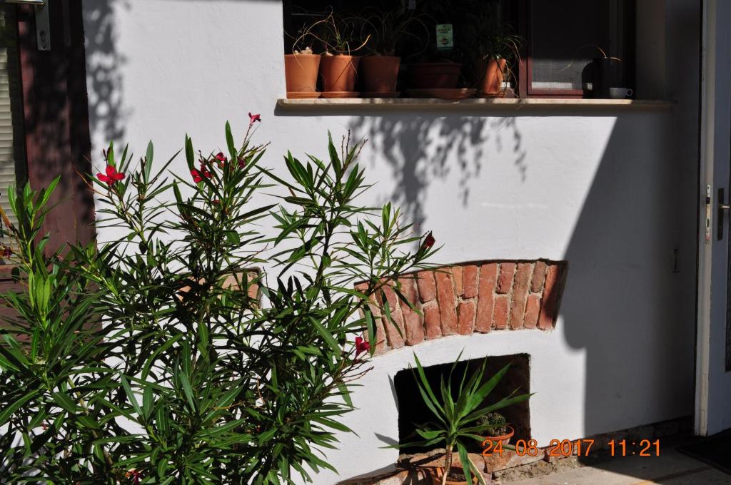 Budova, kde se bed and breakfast nachází