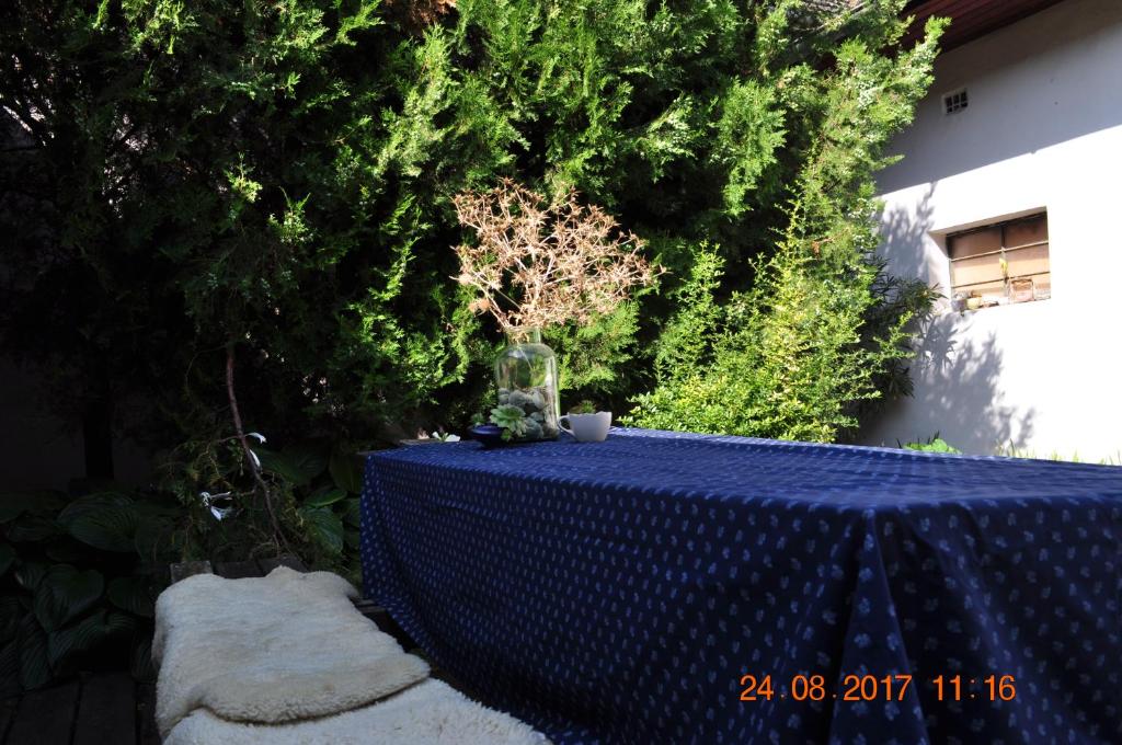 Zahrada ubytování Ferienherbergen S & J Zeisz