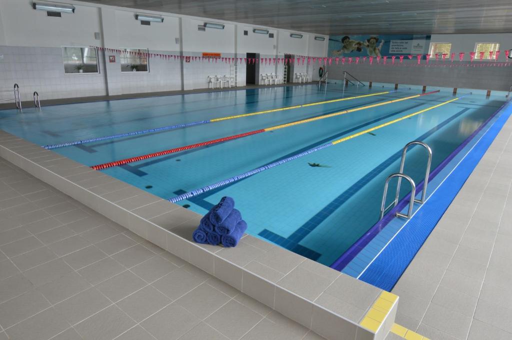 Bazén v ubytování Hotel Srní a Depandance nebo v jeho okolí