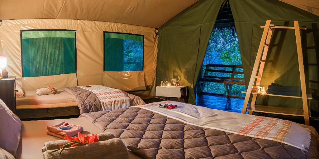a bedroom with a tent with two beds and a ladder at Tami Lodge in Providencia