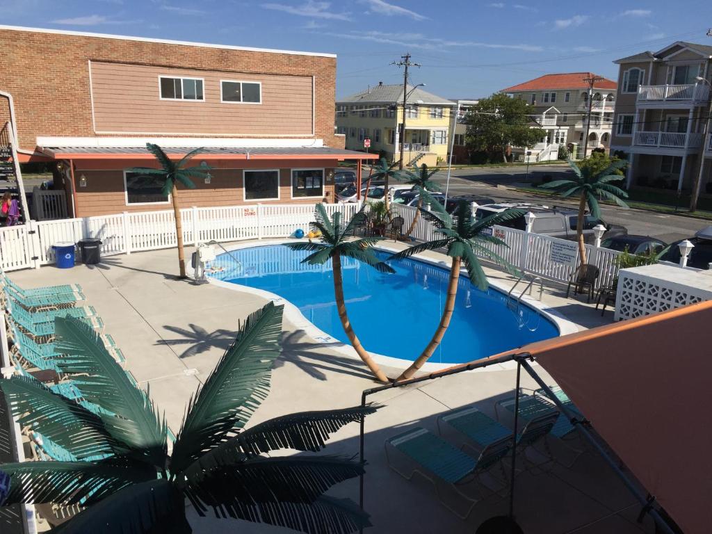 Bazén v ubytování Dolphin Inn nebo v jeho okolí