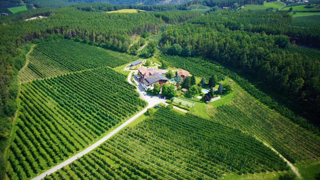 une vue aérienne sur une maison au milieu d'un vignoble dans l'établissement Hotel Flötscherhof, à Naz-Sciaves