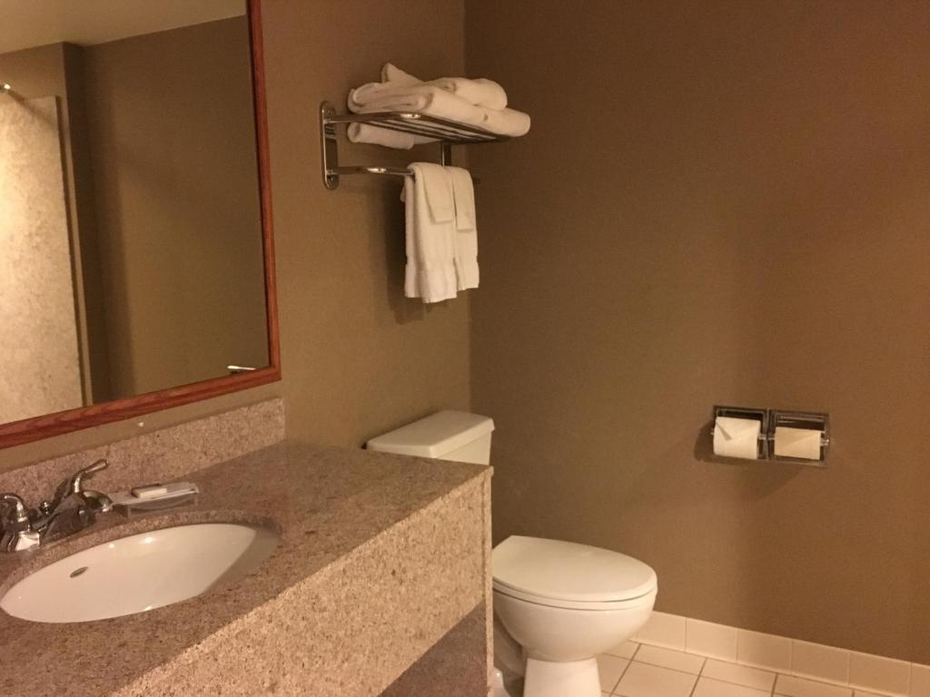Wingate by Wyndham Coon Rapids - King Suite Met één Slaapkamer-niet-roken