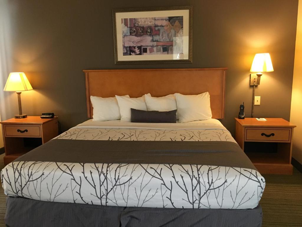 Wingate by Wyndham Coon Rapids - King Suite