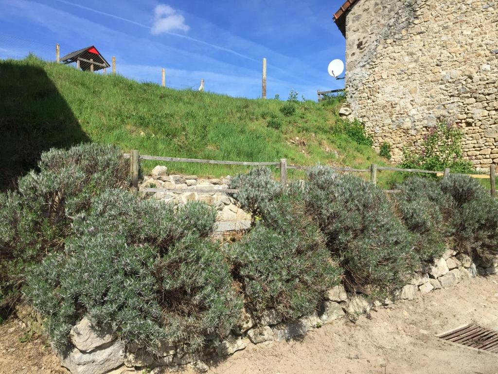 Une bande de buissons sur une colline à côté d'un bâtiment dans l'établissement Gite a la campagne, à Sardent