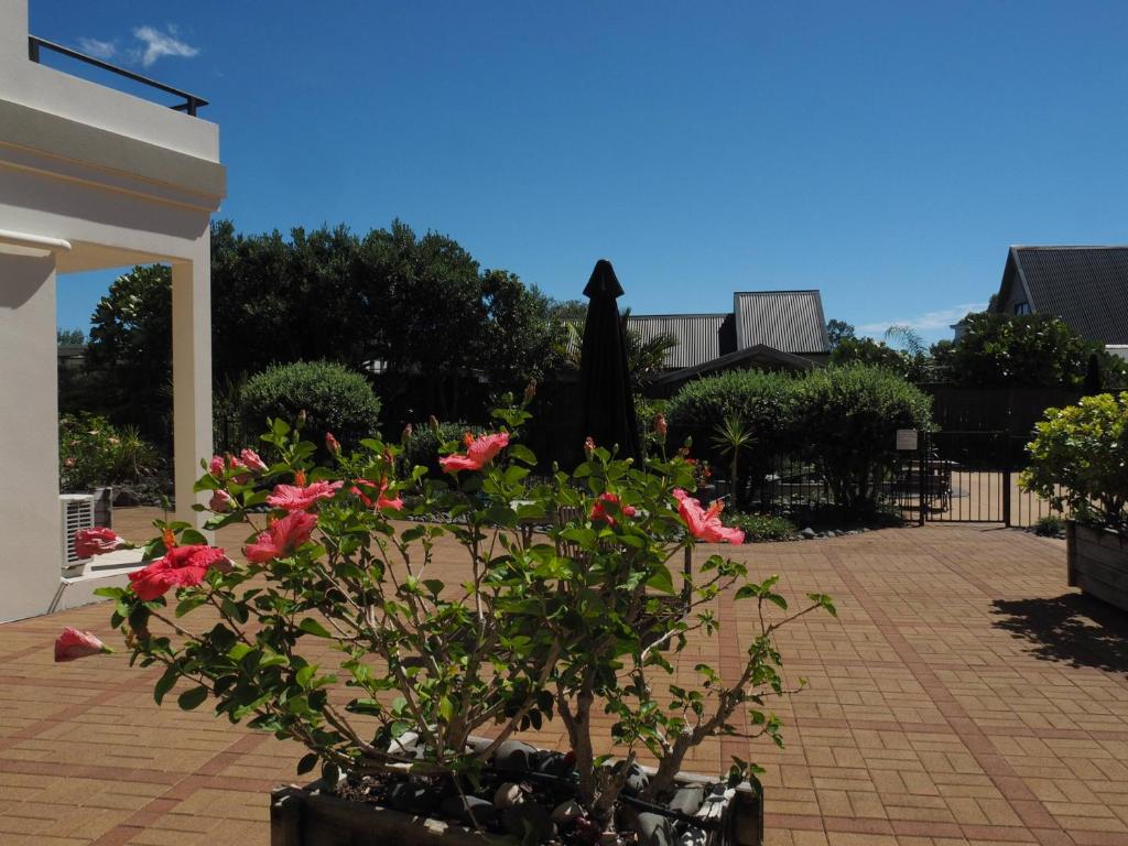 Zahrada ubytování Ocean Breeze Resort Pauanui