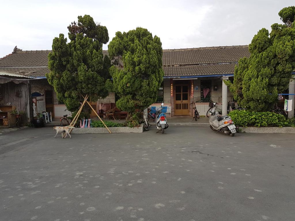 芳苑鄉的住宿－雪花雅居Xuehua Ya Ju Homestay，狗站在建筑物前停车场