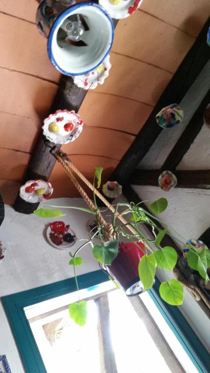 Fotografia z galérie ubytovania Hostal la Ninfa v destinácii Granada