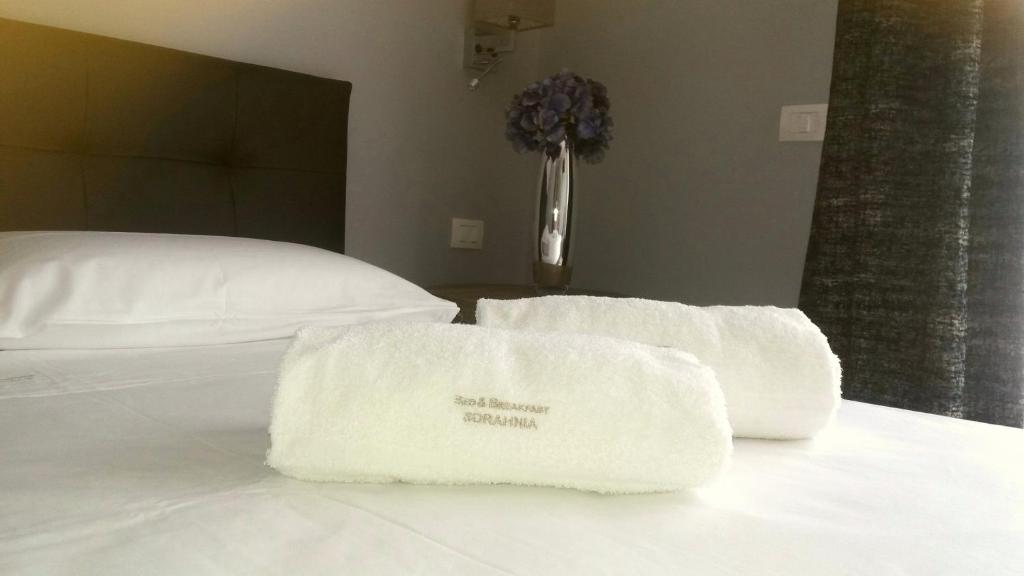 Postel nebo postele na pokoji v ubytování B&B Sorahnia - Design House