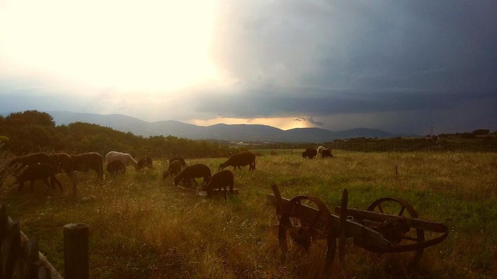 Une pause sur la colline - Casa Con Due Camere Da Letto