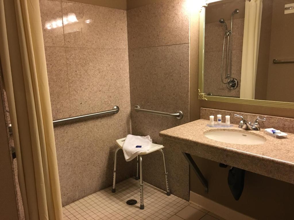 Wingate by Wyndham Coon Rapids - King Room: Movilidad Y Acceso Auditivo/no Fumar