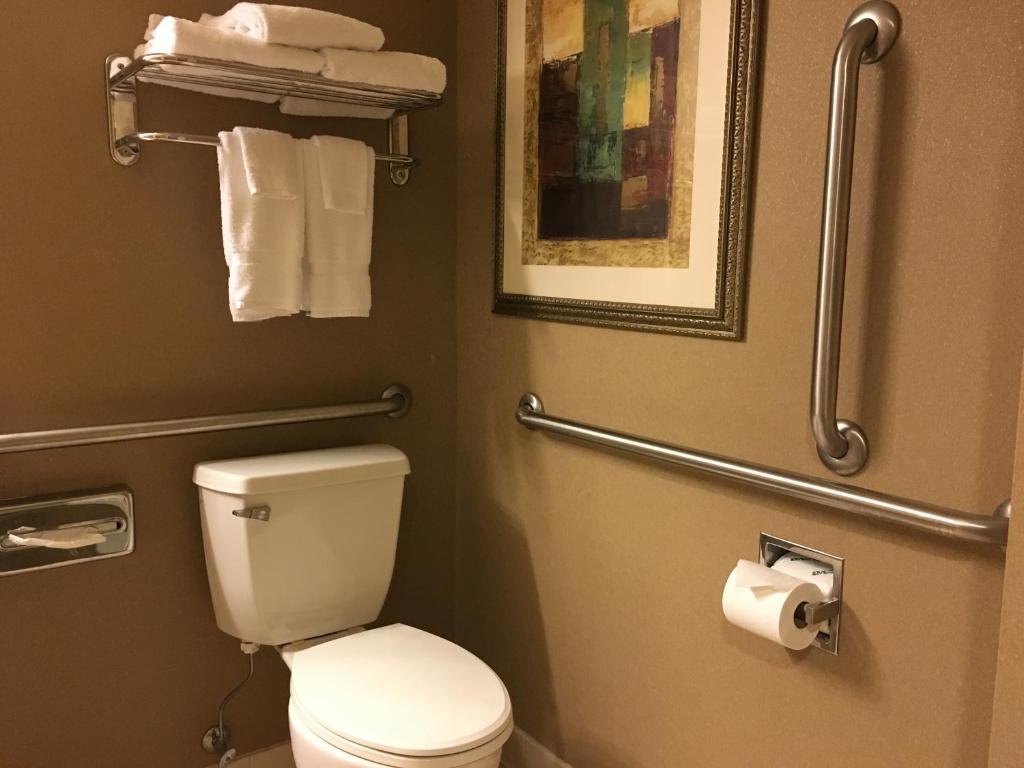 Wingate by Wyndham Coon Rapids - King Room Met Roll -in Douche - Mobiliteitstoegang