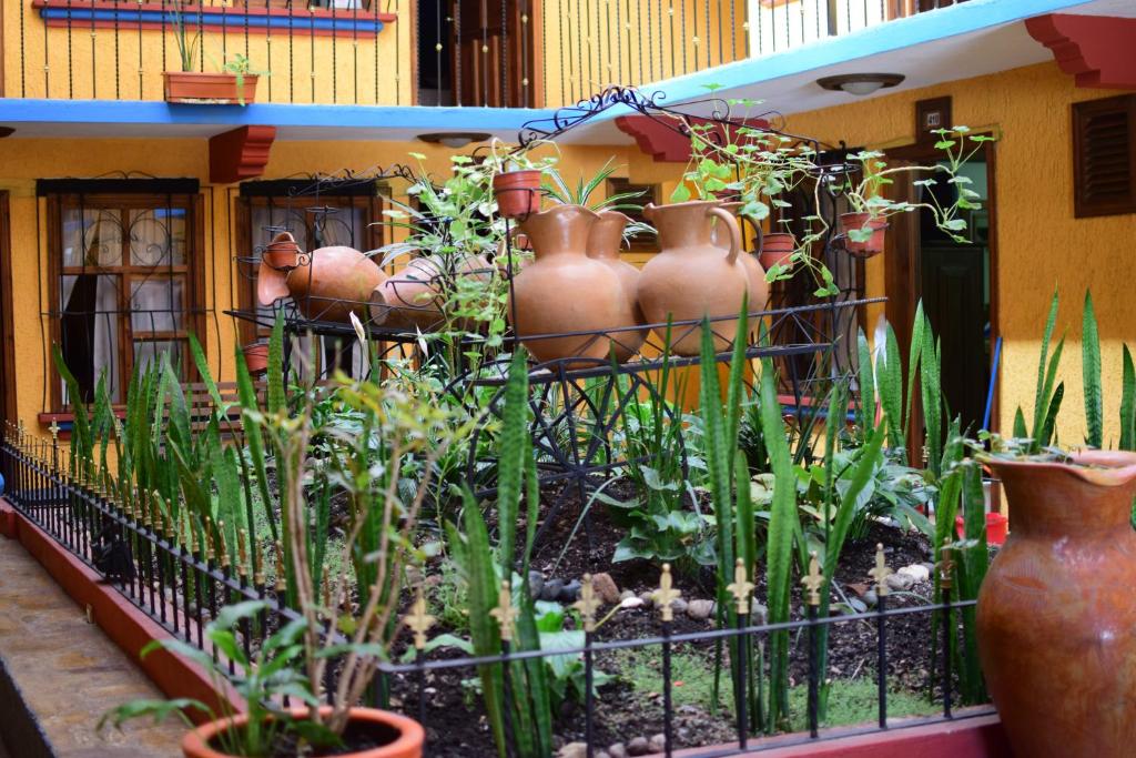 Zahrada ubytování Hotel Tradicional