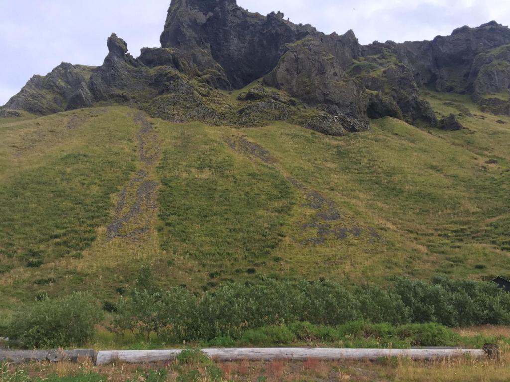 Náttúran í nágrenni sumarhússins