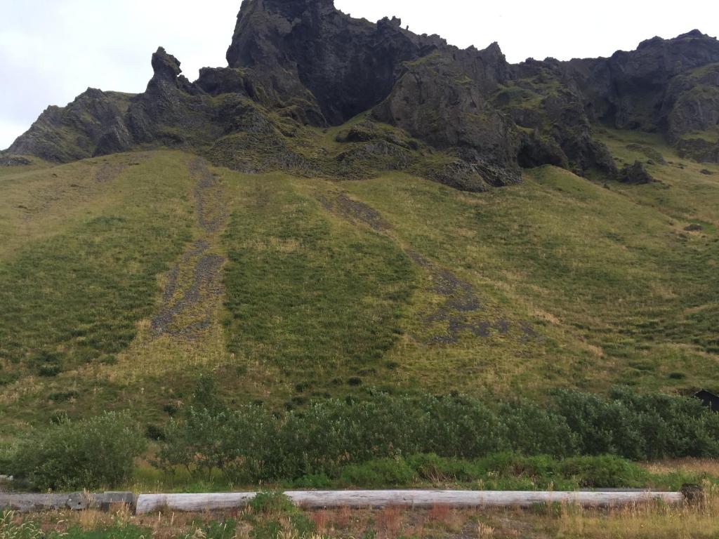 Náttúran í nágrenni sumarhússins