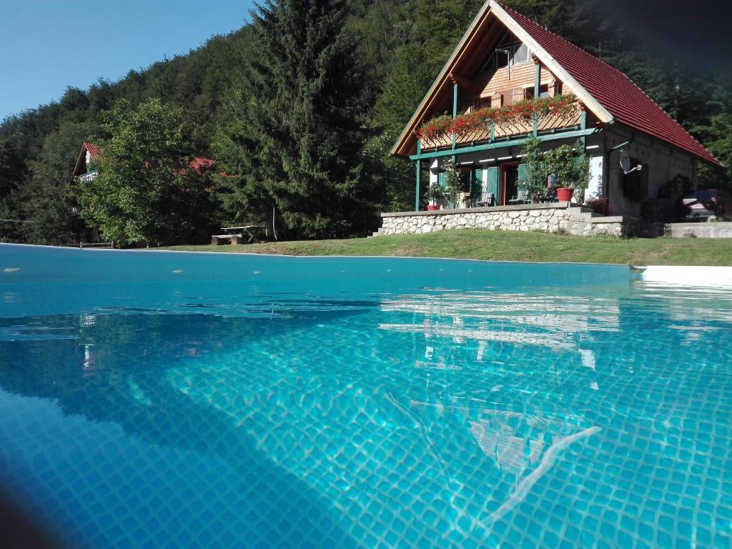 una casa e una piscina d'acqua di fronte a una casa di Pensiunea Ioana a Borlova