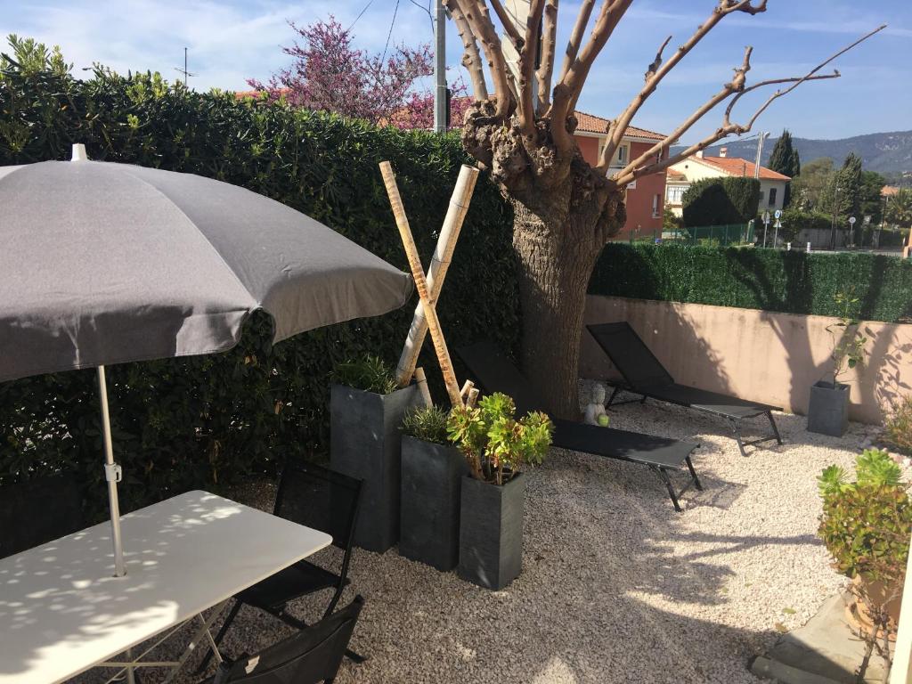 a table with an umbrella next to a tree at Les Lones avec jardin in Six-Fours-les-Plages