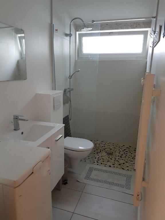 a bathroom with a shower and a toilet and a sink at La Remigeasse in Dolus-d&#39;Oléron