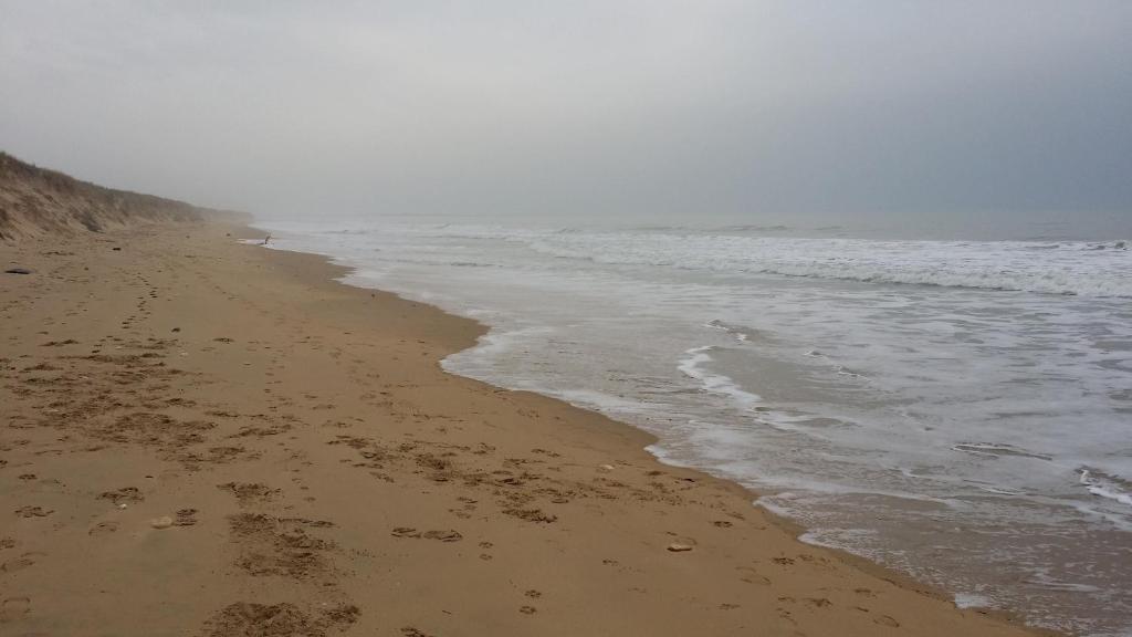 a sandy beach with the ocean on a foggy day at La Remigeasse in Dolus-d&#39;Oléron