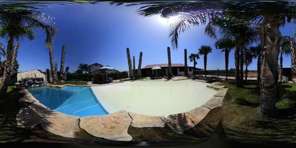 una gran piscina con palmeras en un complejo en Aurelio Rapillo, en San Michele
